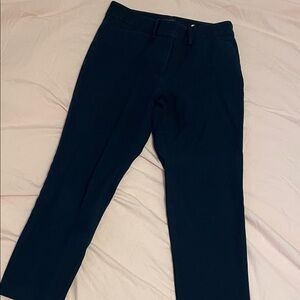 Ann Taylor Factory Navy Cropped Pants